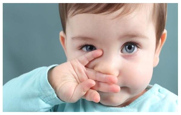 上海大拇指家政，上海月嫂，上海育婴师，住家保姆，钟点工，早出晚归，联洋家政公司